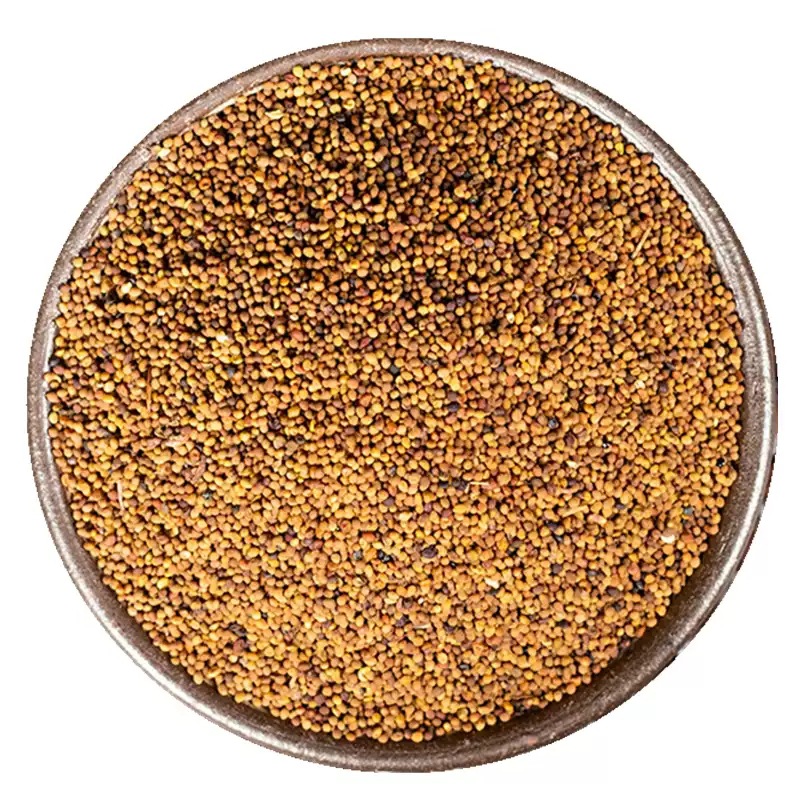 Dried Dodder Seed Tu Si Zi 500g Whole Herb for Tea Wine and Decoction Use - Image 5