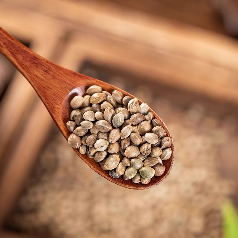 Hemp Seed Huo Ma Ren Dried Cannabis Sativa Seeds Traditional Chinese Herb 100g - Image 4