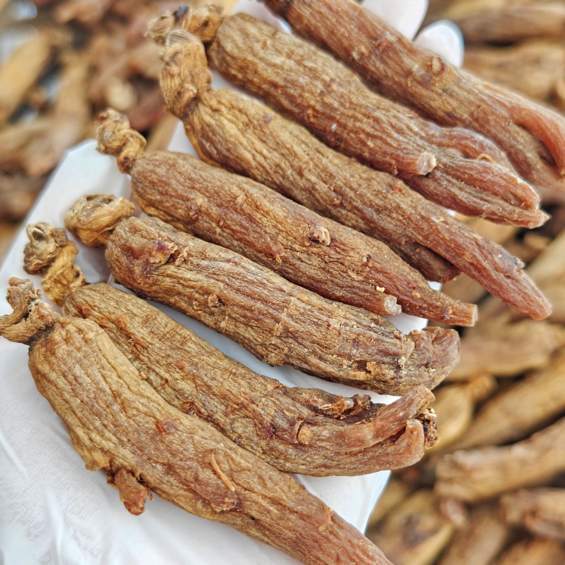 Premium Sugar-Free Red Ginseng Whole Roots and Slices Hong Shen Changbai Mountain 12 Year 500g Bulk Pack - Image 3