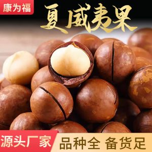 Macadamia Nuts (Macadamia integrifolia) — Creamy Jumbo Raw Food Nut, 500g