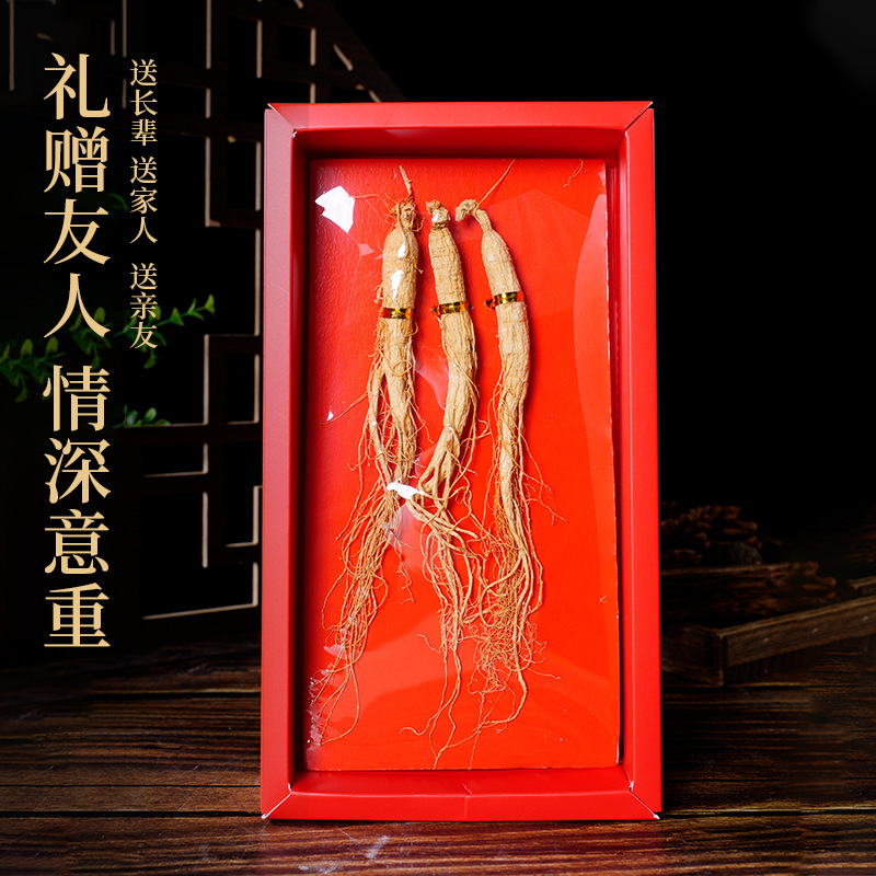 Changbai Mountain Whole Root Sun-Dried Ginseng Gift Box 40g Traditional Herbal Tonic - Image 4
