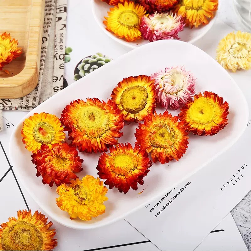 Seven Color Chrysanthemum Dried Flowers Qi Cai Ju Herbal Tea 500g Yunnan Wholesale - Image 2