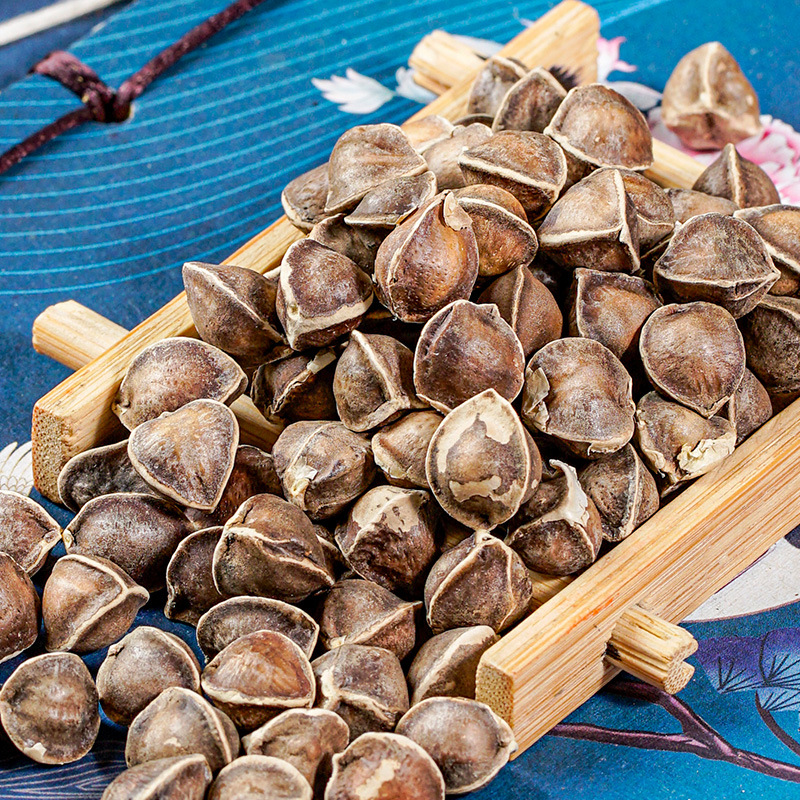 Moringa Seeds (Moringa oleifera) — La Mu Zi Dried Food Herb, 500g - Image 4