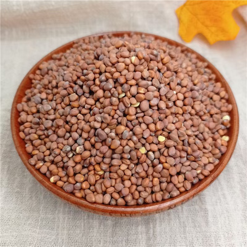 Lai Fu Zi (Semen Raphani) — Roasted Radish Seed for Herbal Tea & Decoction, 500g - Image 2