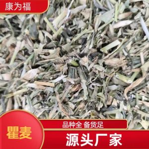 Qu Mai (Dianthus superbus) — Dried Chinese Herbal Flower for Tea & Decoction