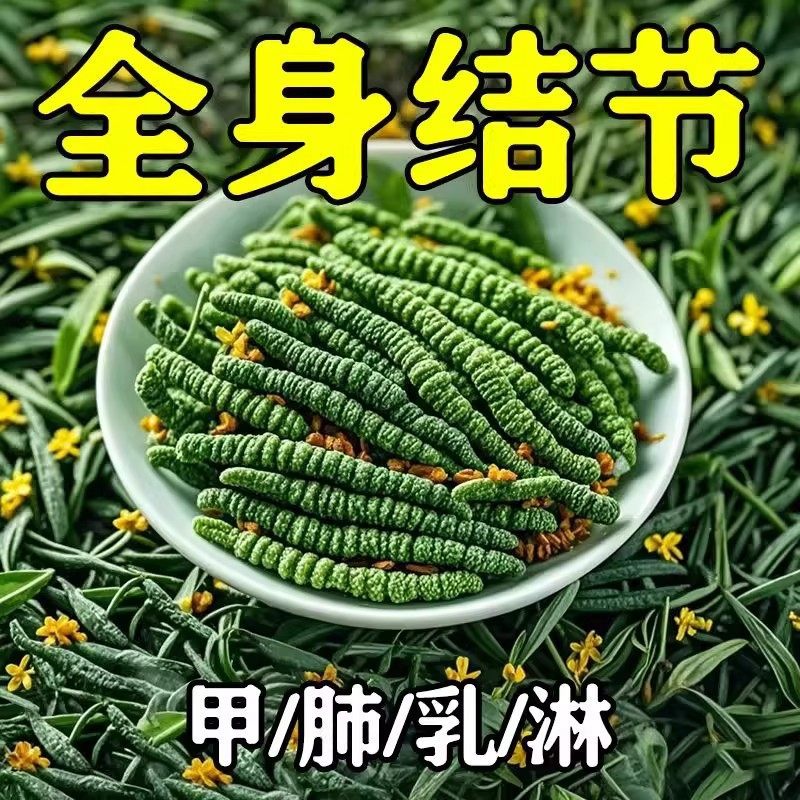 Nodule Care Herbal Tea Bag Blend 21 Herb Dandelion Formula 150 Bags Daily Wellness Tea - Image 2