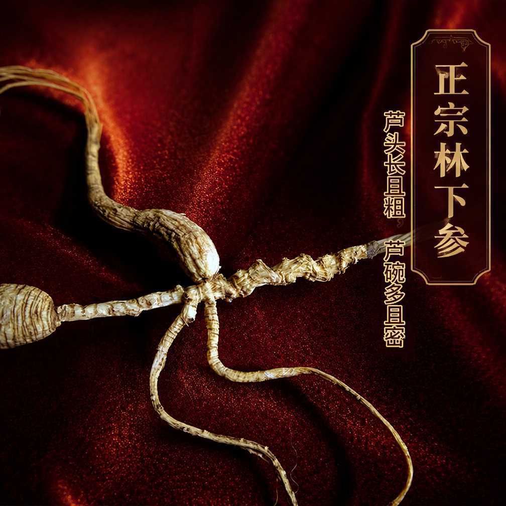 Changbai Mountain Forest Ginseng Gift Box Dried Mountain Ginseng Roots for Holiday and Business Gifting - Image 5