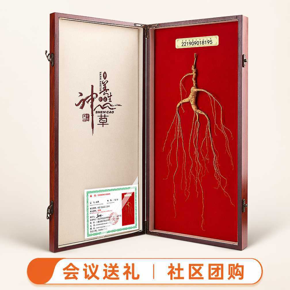 Changbai Mountain Forest Ginseng Gift Box Dried Mountain Ginseng Roots for Holiday and Business Gifting - Image 2