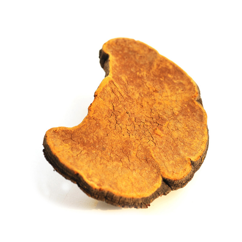 Wild Changbai Mountain Sang Huang Mushroom Slices Traditional Chinese Herbal Decoction Ingredient - Image 5