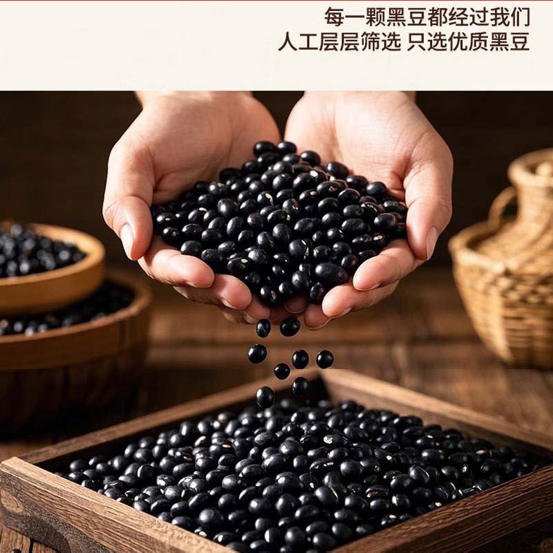 Dang Gui Black Soybeans (Angelica sinensis & Glycine max) — Ready-to-Eat Herbal Snack, 100g - Image 2
