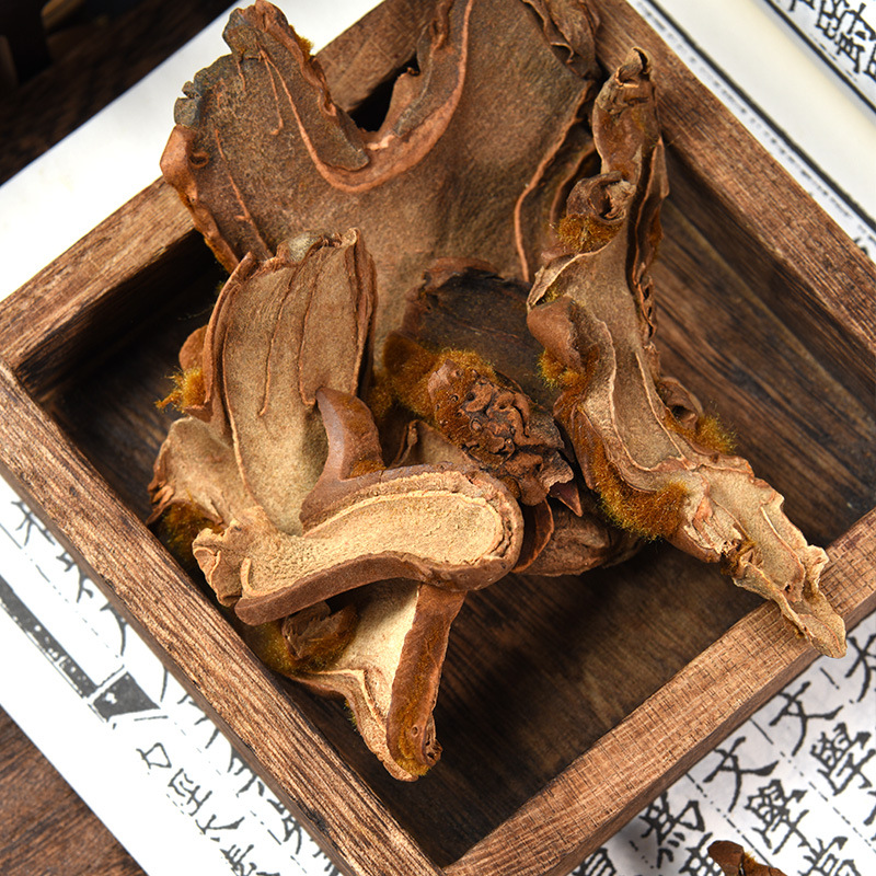 Gou Ji (Cibotium barometz) — Golden Hair Dog Spine Rhizome, Prepared & Powdered - Image 2