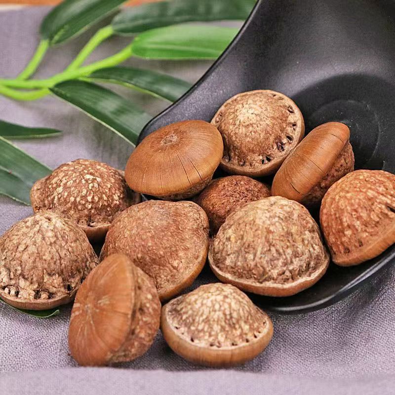 Feng Liu Gu Dried Fengliu Fruit 100g Jar Whole Stone Fruit Traditional Chinese Herb - Image 4