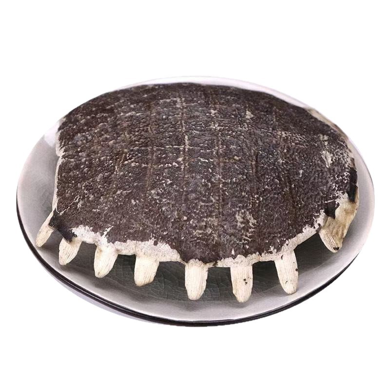Bie Jia (Trionyx sinensis) Dried Turtle Shell Pieces — Traditional Chinese Herb, 500g - Image 5