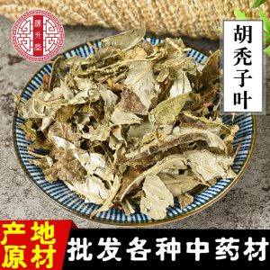 Hu Tuizi Ye (Elaeagnus pungens Leaf) — Dried Food Herb, Unsulfured New Crop