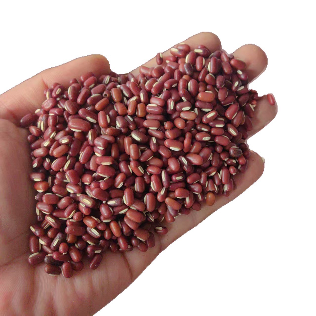 Adzuki Bean Chi Xiao Dou 500g Whole Dried Seeds Farm Grown Food Grade Grain - Image 4