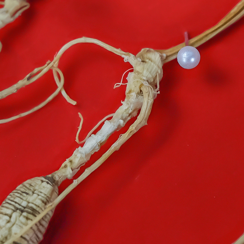 Changbai Mountain Wild-Simulated Ginseng Sun-Dried Whole Roots Gift Box 5 Roots for Soup and Wine - Image 3