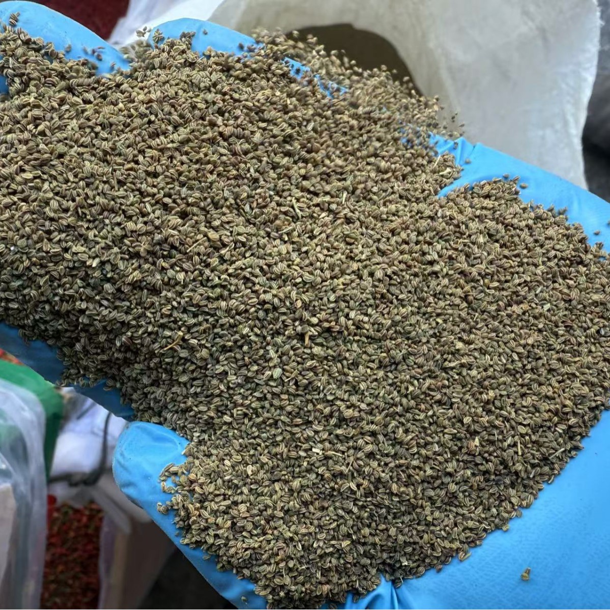 Celery Seed Clean Whole Dried Apium graveolens for Culinary Spice and Herbal Powder - Image 4