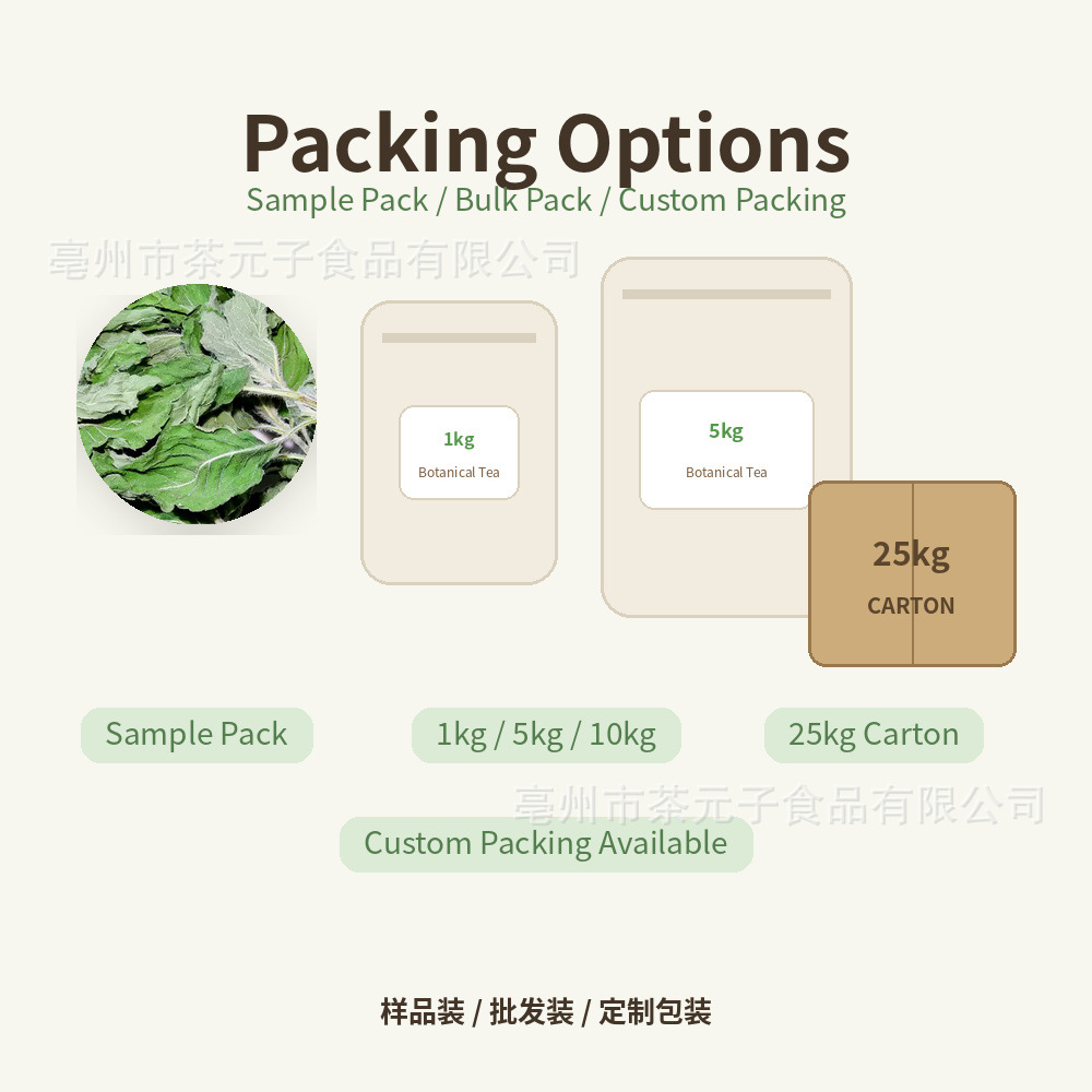 Dried Peppermint Leaf Bo He 薄荷叶 Herbal Tea Ingredient 500g - Image 3