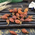 Dried Gardenia Fruit Broken Pieces Zhi Zi 500g Bulk Herbal Tea Material - Image 4