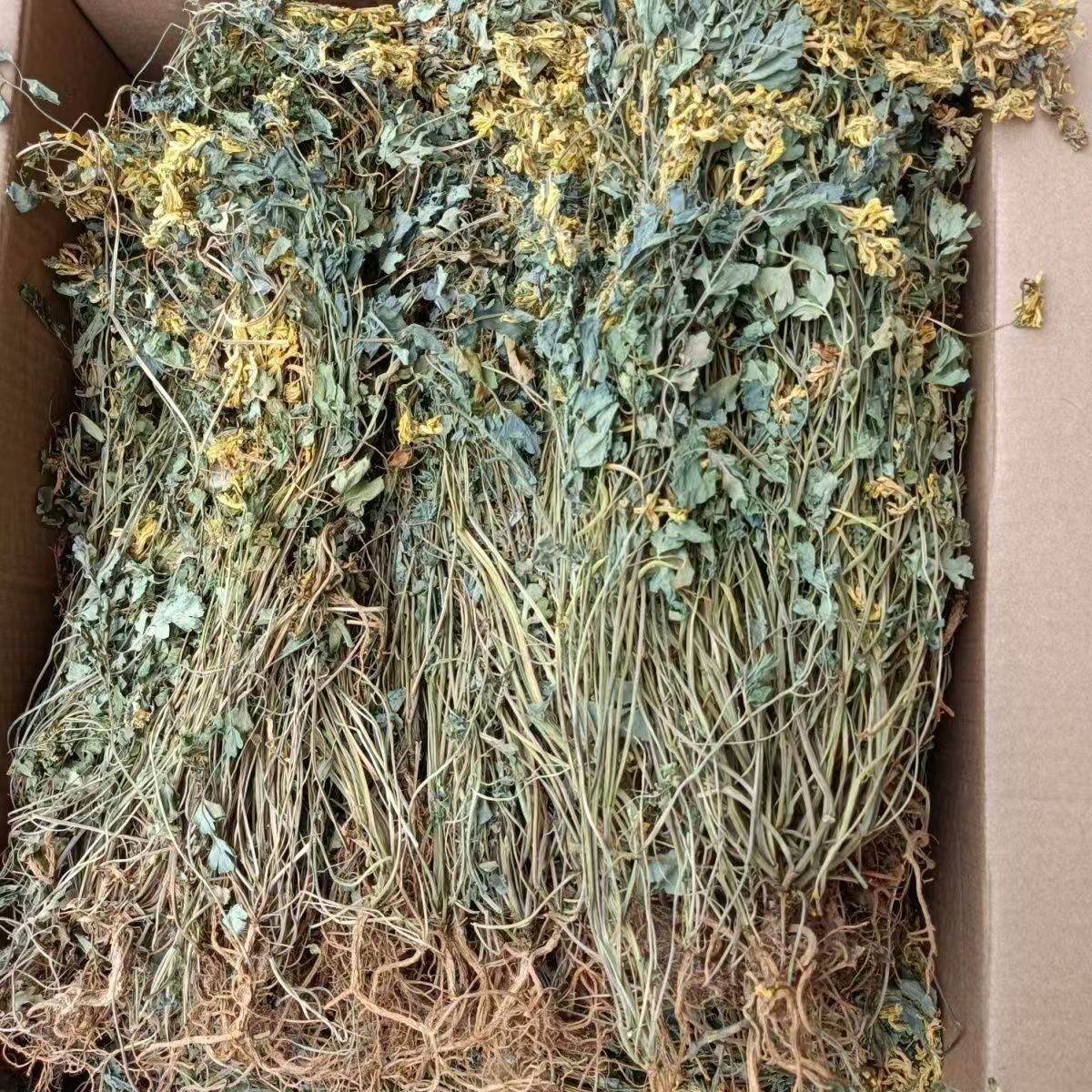 Yan Huang Lian Root (Corydalis saxicola) — Dried Bitter Food Herb for Cooking & Decoction - Image 4