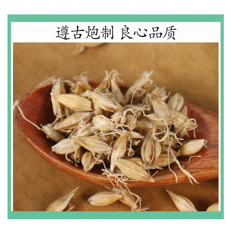 Raw Malted Barley Sprout Mai Ya 500g Dried Hordeum Vulgare for TCM Digestive Support and Herbal Decoction - Image 2