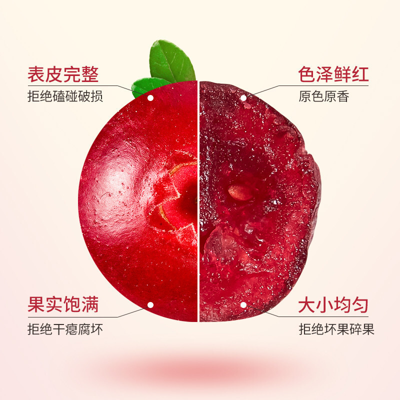 Dried Cranberries 500g Baking Grade No Added Sugar Snow Crisp Ingredient Snack - Image 2
