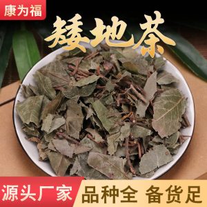 Ai Di Cha (Ardisia japonica) — Dried Chinese Herbal Leaf for Decoction & Tea