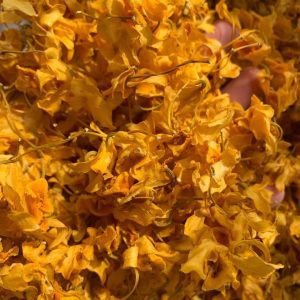 Drumstick Dendrobium Flowers (Dendrobium chrysotoxum) — Yunnan Dried Herbal Flower Tea, 1g