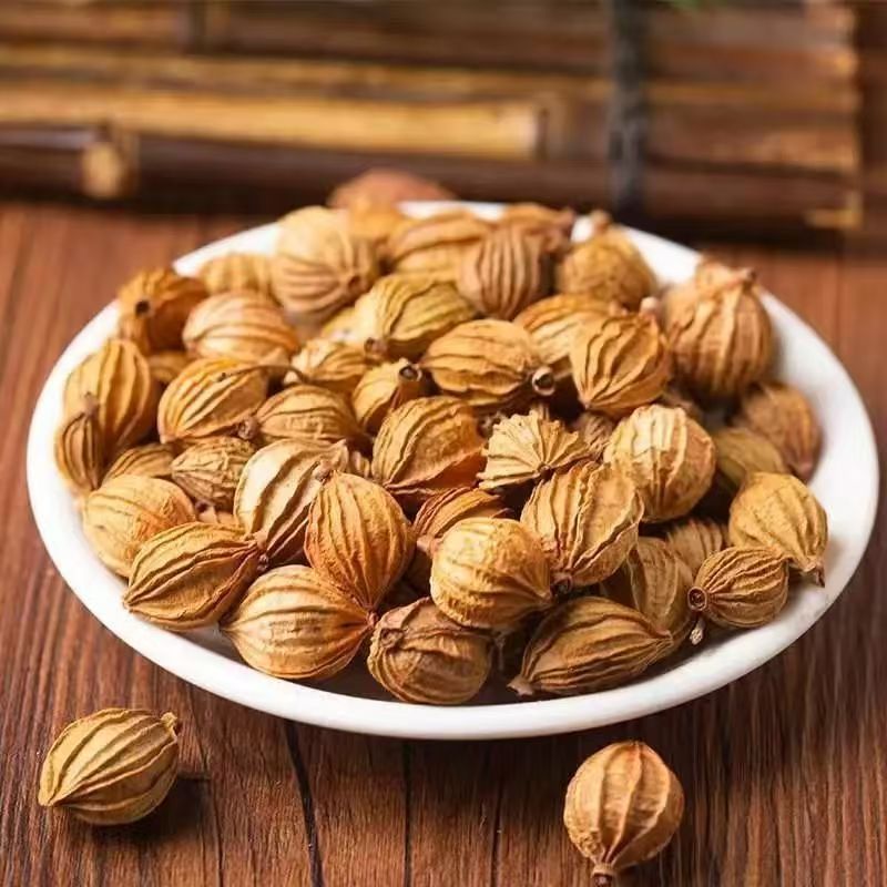 Xiang Sha Ren Fragrant Amomum 500g Sichuan Dried Culinary Herb for Braising Stews and Marinades - Image 3