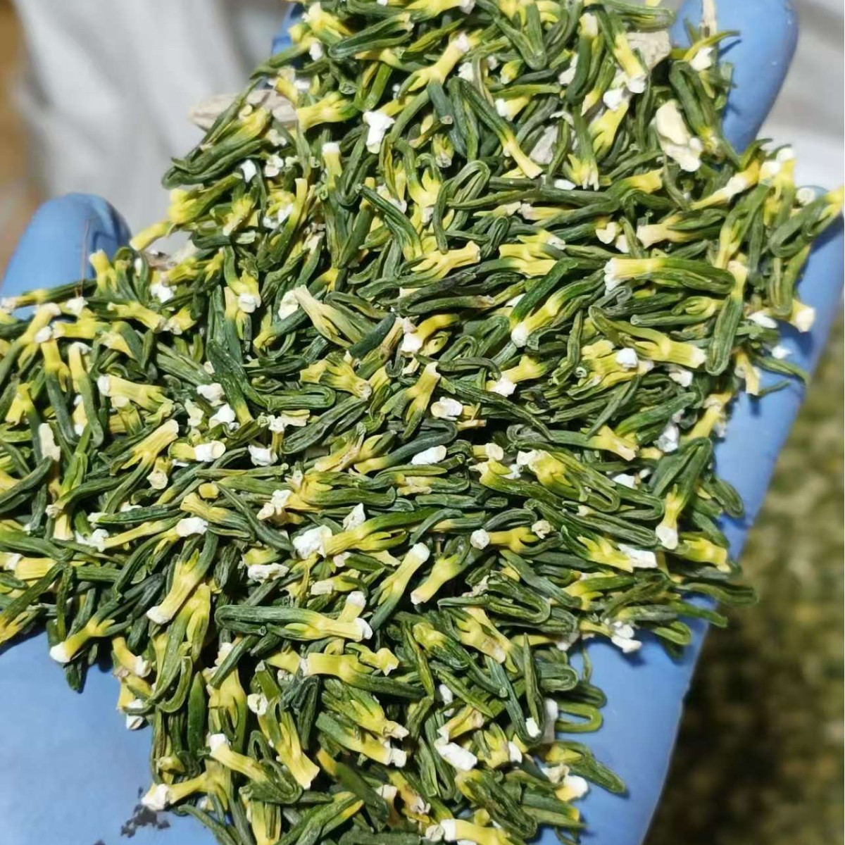 Dried Lotus Plumule Lian Zi Xin 500g Herbal Tea Ingredient for Traditional Decoctions - Image 5
