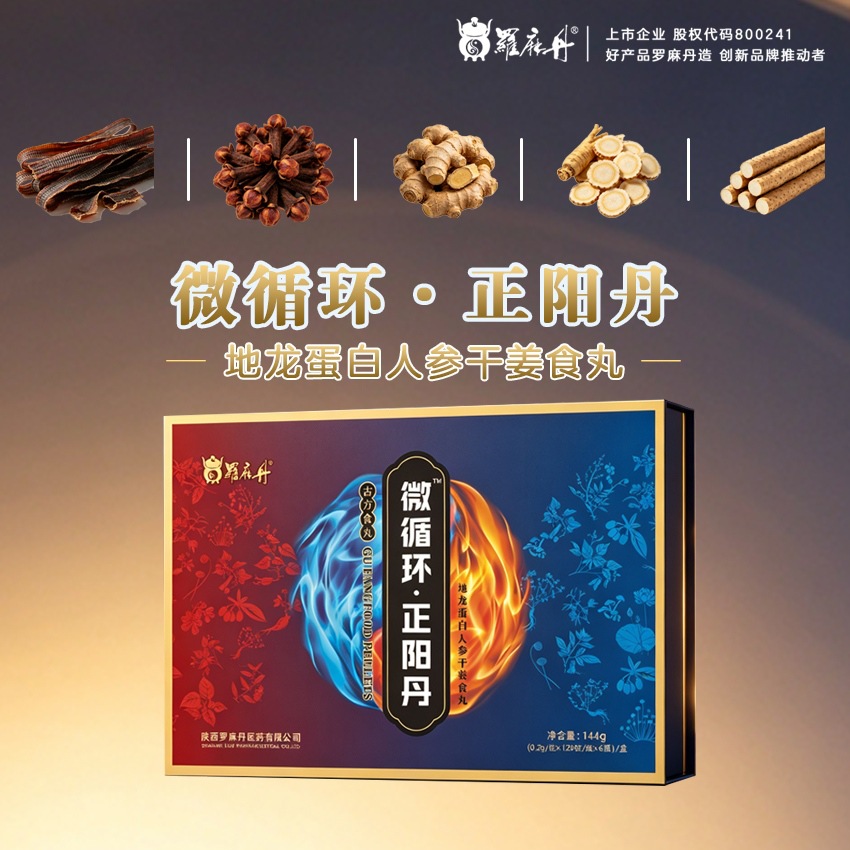 Earthworm Protein Ginseng Dried Ginger Honey Pills Di Long Dan 144g Daily Herbal Wellness Pills for Adults - Image 3