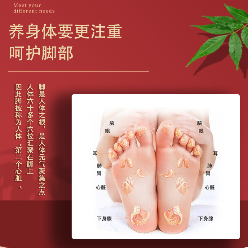 Mugwort Ginger Foot Patches 56 Count Box Bamboo Vinegar Sleep Patches for Home Use - Image 2