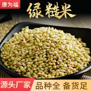 Green Rice & Five Grain Mix (Oryza sativa) — Red Yeast Rice, Black Rice, Red Rice Whole Grains