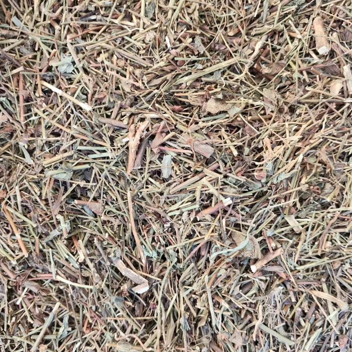 Tian Ji Huang (Hypericum japonicum) — Dried Food Herb, 500g, Custom Grinding Available - Image 2