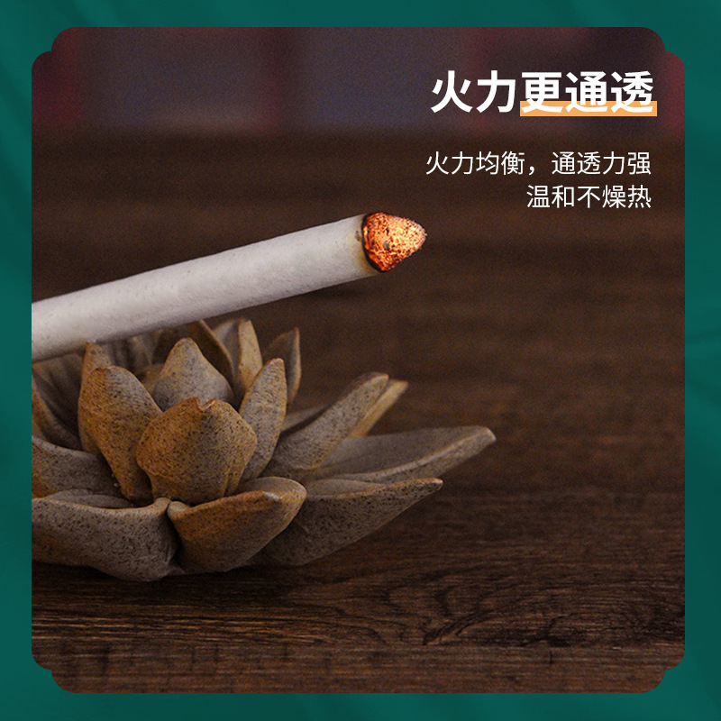 Taiyi Moxa Sticks 5-Year Aged Mugwort Ai Tiao 10 Pack Hand-Rolled Pure Moxa Wool for Moxibustion - Image 2