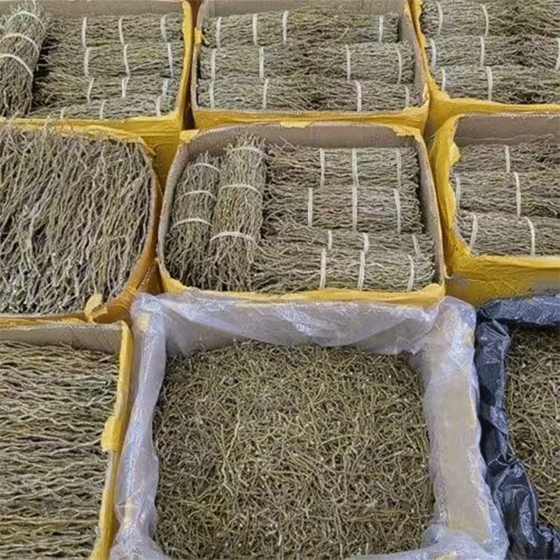 Tie Pi Shi Hu Dried Dendrobium Stems 500g for Tea and Soup - Image 3