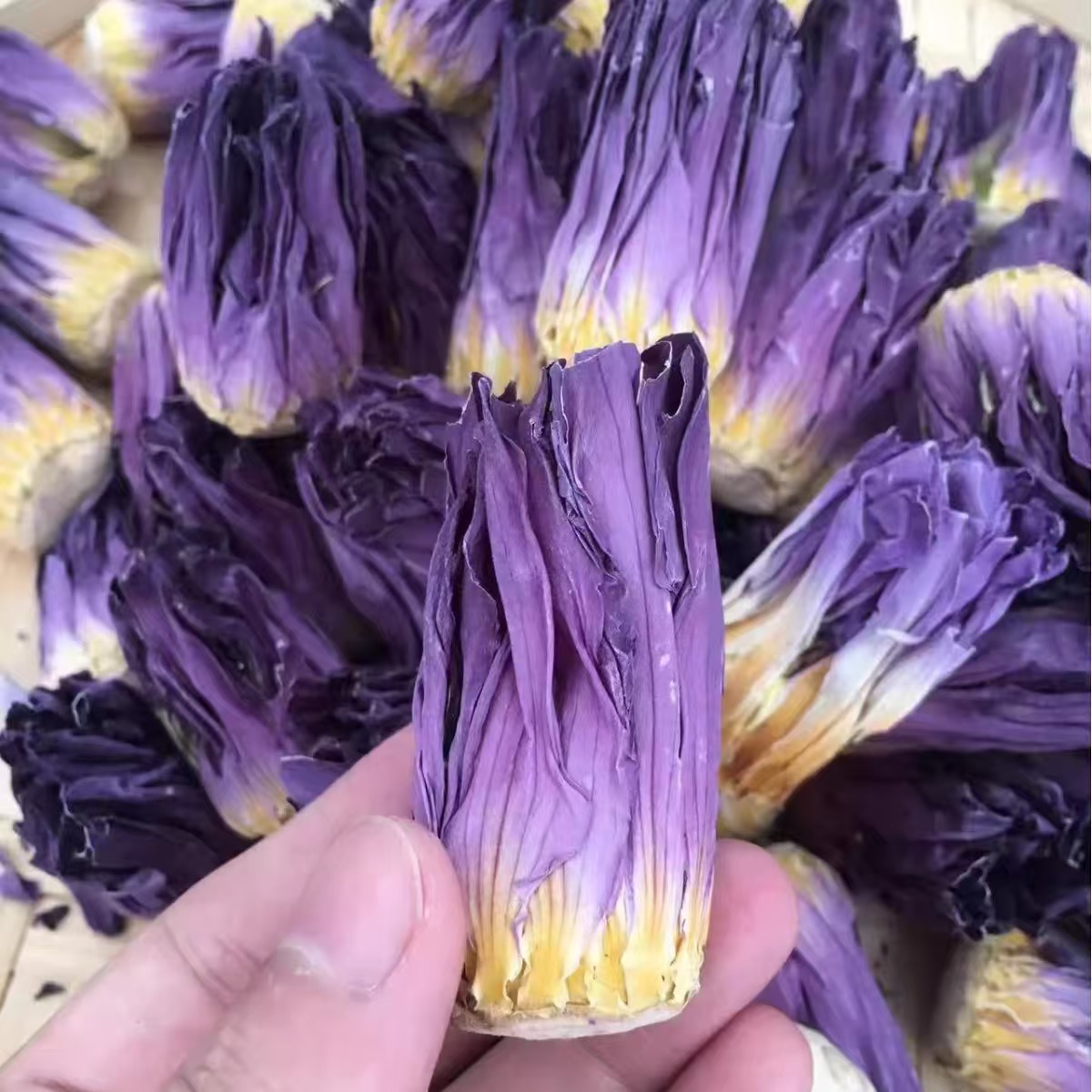Nine-Grade Fragrant Water Lily Flower Tea (Nymphaea) — Yellow & Purple Herbal Infusion - Image 2