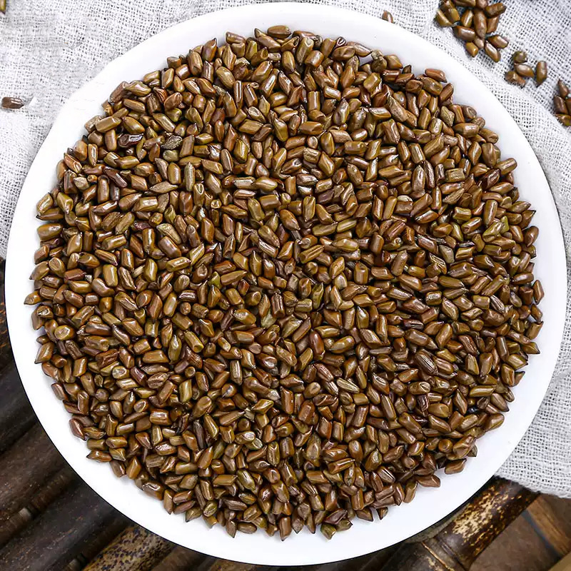 Cassia Seed Jue Ming Zi 500g Dried Cassia Seeds for Tea and Herbal Pillow Filling - Image 4