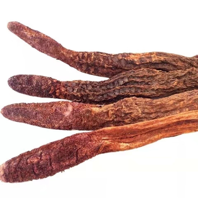 Cynomorium Whole Root and Slices Suo Yang TCM Herbal Tonic for Wine Infusion and Decoction 1000g - Image 5