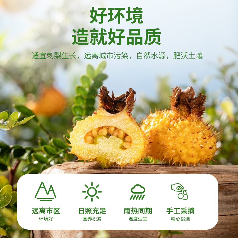 Cili Fruit Puree Concentrate Rosa roxburghii Juice 150ml Box Fresh Pressed Plant Drink - Image 4