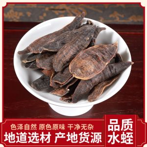 Shui Zhi Dried Leech (Hirudo medicinalis) — Sun-Dried Clean-Water Leech for TCM Decoction
