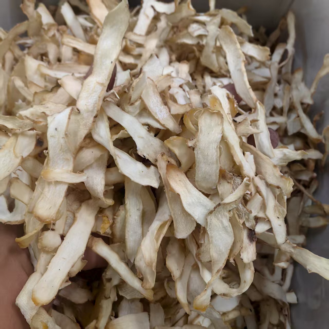 Yu Zhu Dried Polygonatum Root 500g Hunan Sulfur-Free Herbal Tea and Soup Ingredient - Image 3