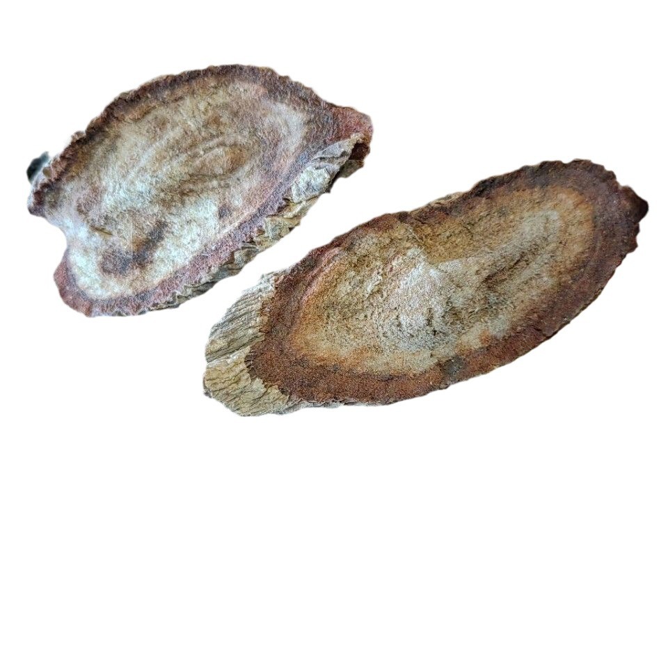 Red Kwao Krua Root (Pueraria mirifica) — Thai Botanical for Wine & Tea Infusions - Image 5