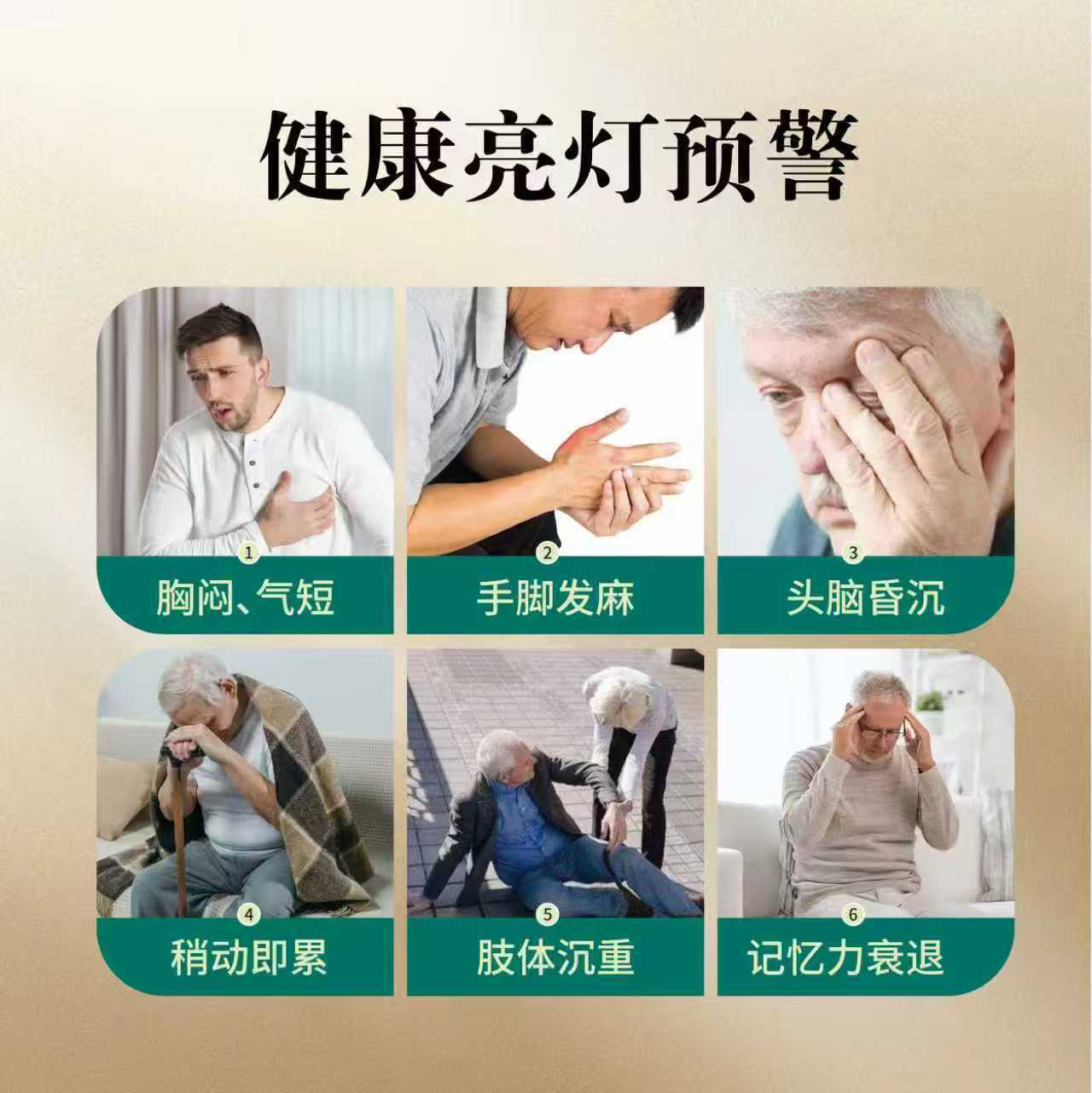 Nineteen Herb Tibetan Wellness Pills Shizhen Wan Ginseng Lingzhi Daily Herbal Supplement 144g - Image 2