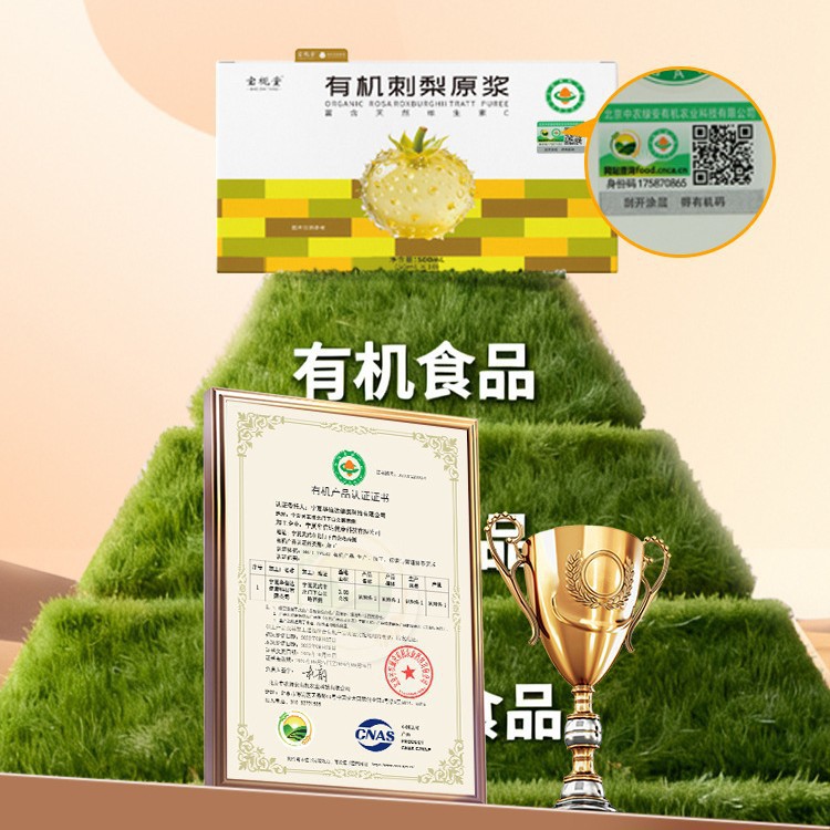Organic Rosa roxburghii NFC Juice 30ml Sachets Guizhou Fresh Fruit Herbal Drink - Image 4