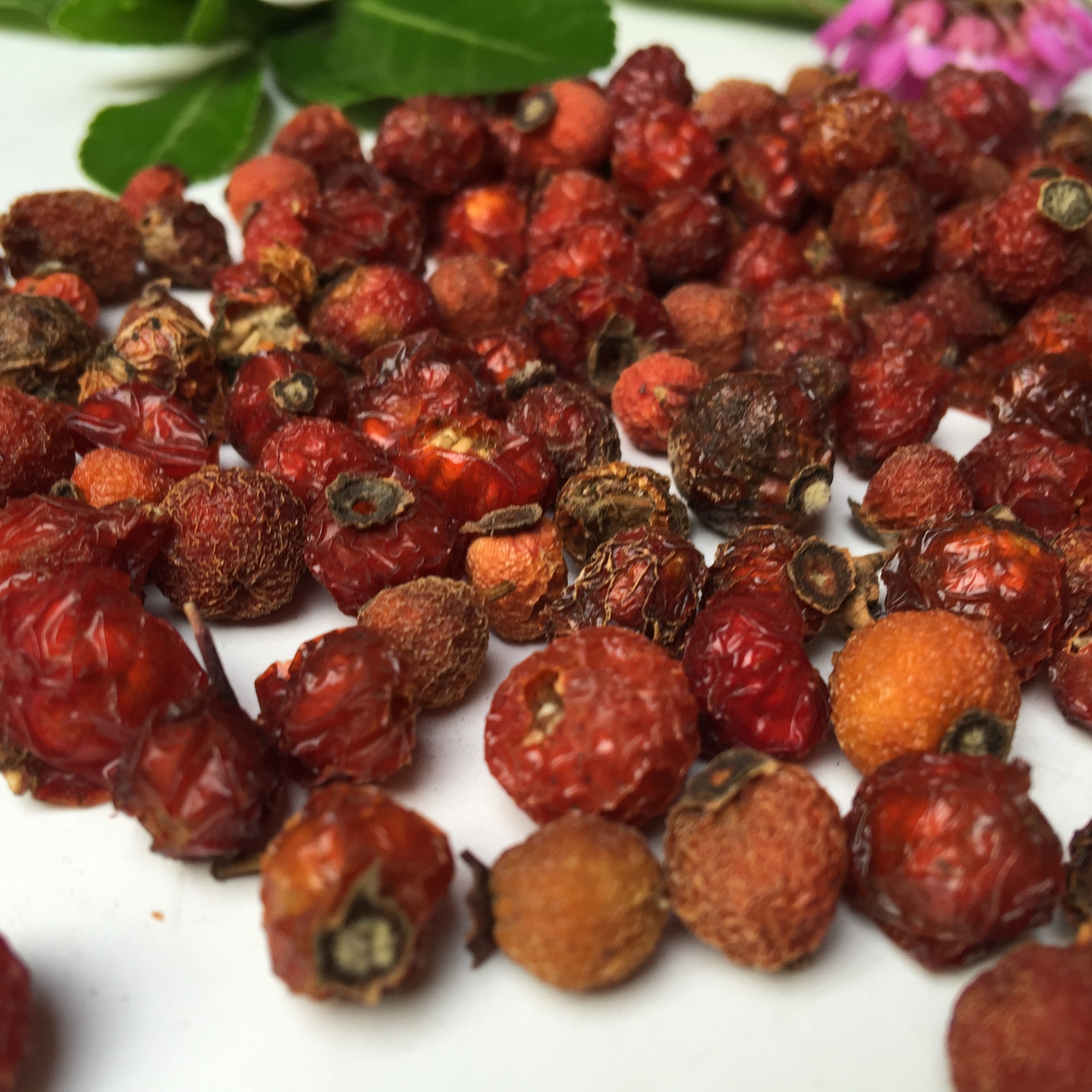 Rose Hip Dried Fruit Mei Gui Guo 500g Herbal Tea Ingredient and Oil Raw Material - Image 3
