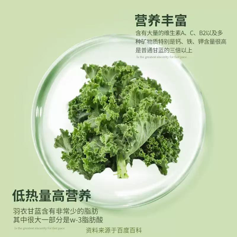 Kale Powder 30g Box Instant Fruit Vegetable Drink Mix No Added Sucrose - Image 4