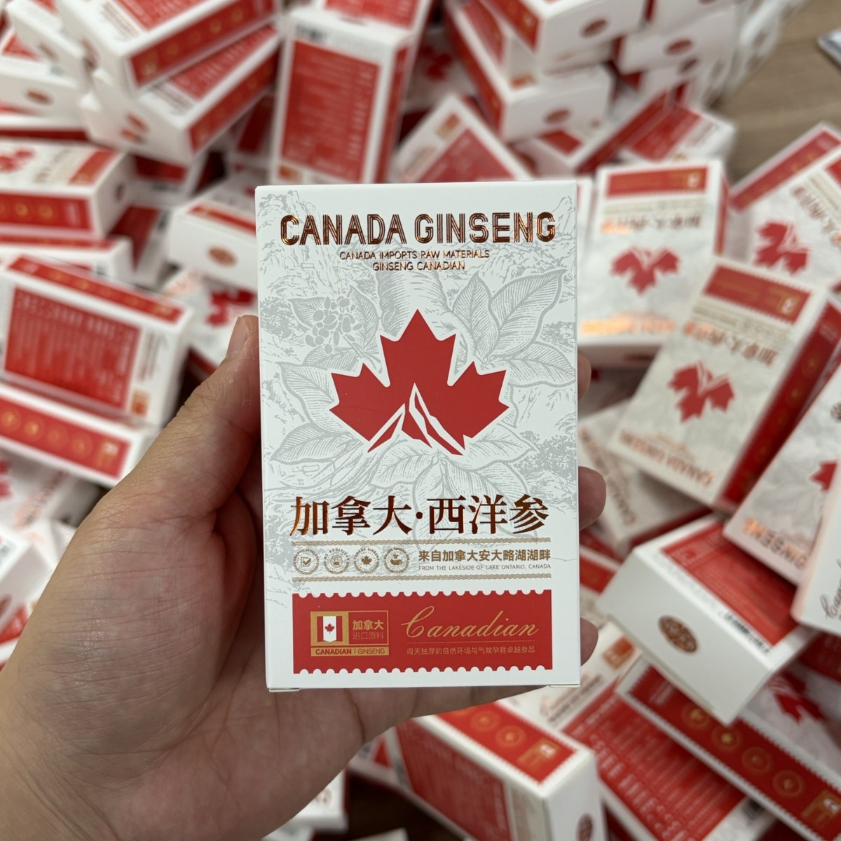 Canadian American Ginseng Powder Xiyangshen 24g Box Ready to Eat Herbal Supplement - Image 2