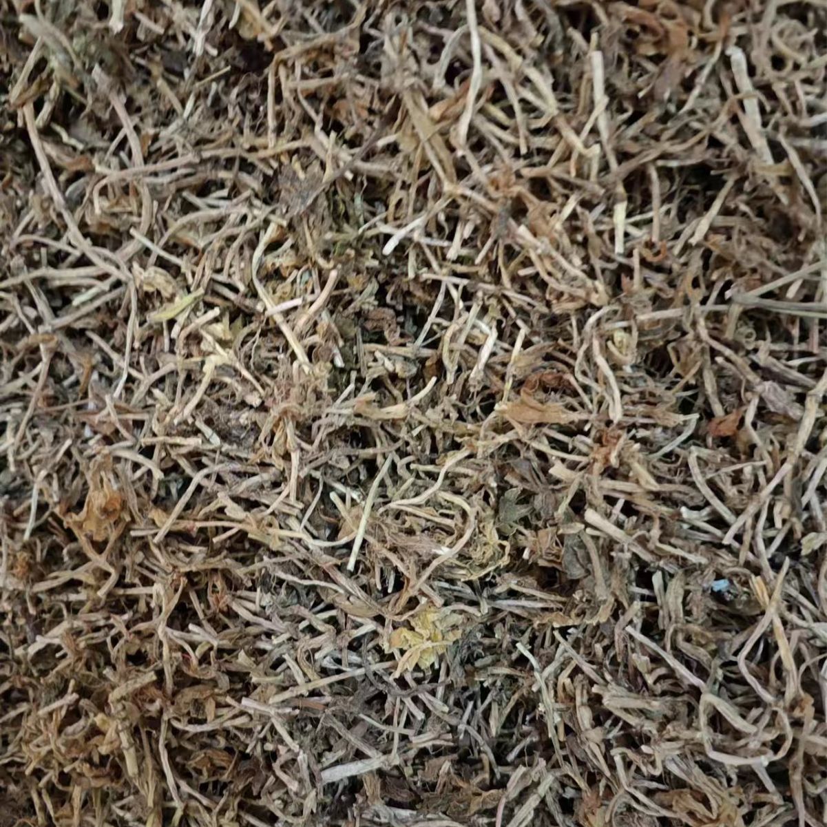 Chui Pen Cao (Sedum sarmentosum) — Dried Chinese Herbal Decoction Pieces, 500g - Image 3