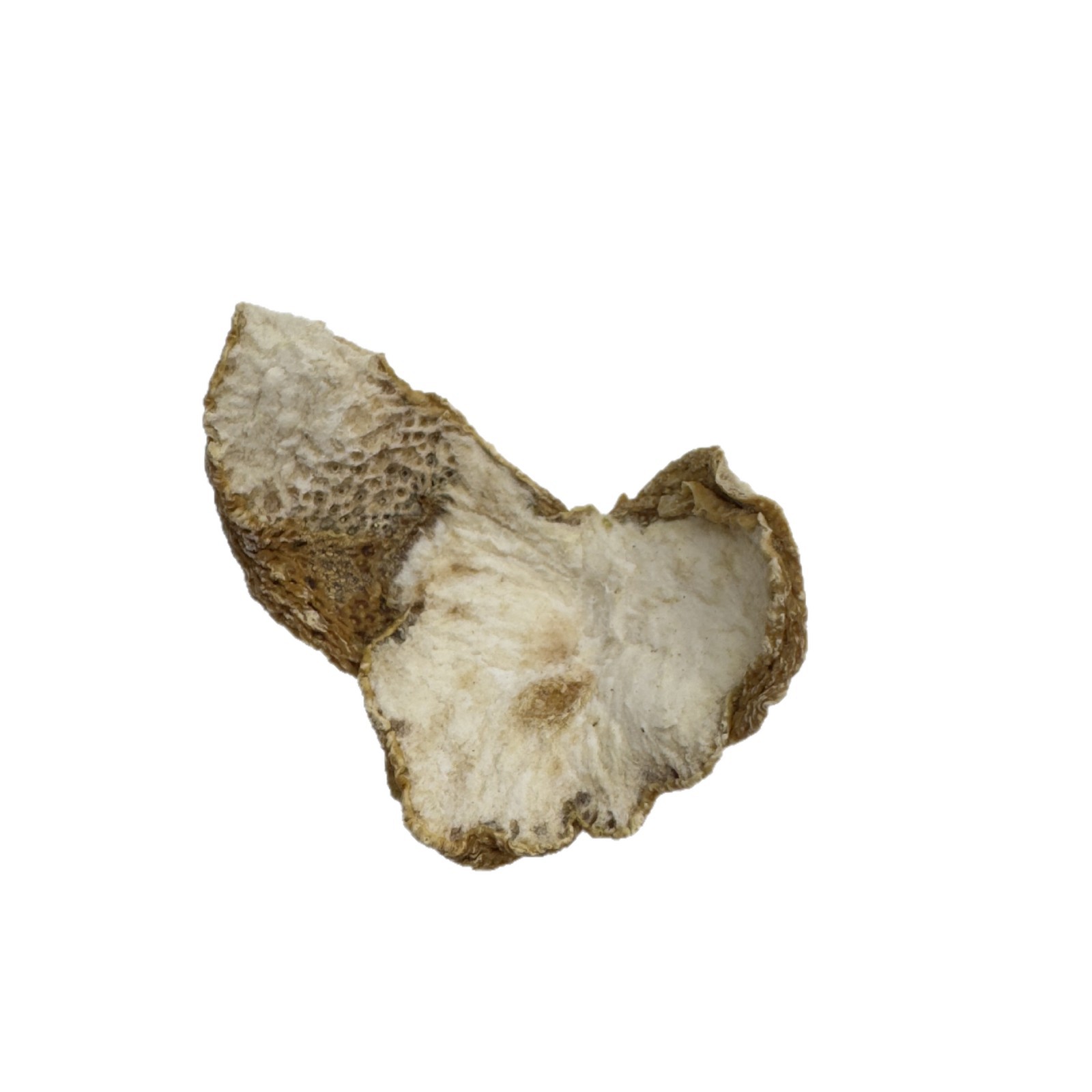 Premium Dried Buddha Hand Fruit Slices 50g Jar Sichuan Grown Edible Herb for Tea and Soup - Image 5